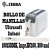 Zebra 10015358K, Rollo de Manillas Ultrasoft Infant 1x6, impr. HC100, 300 Unidades